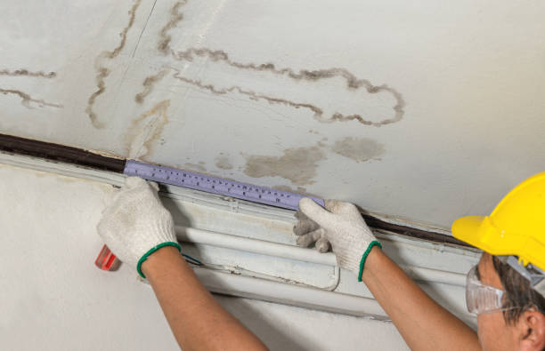 Reliable Water Damage contractor in River Edge, NJ by Water Damage Irwin